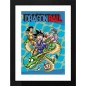 Frame - Dragon Ball - Cover Frame - Dragon Ball - Cover