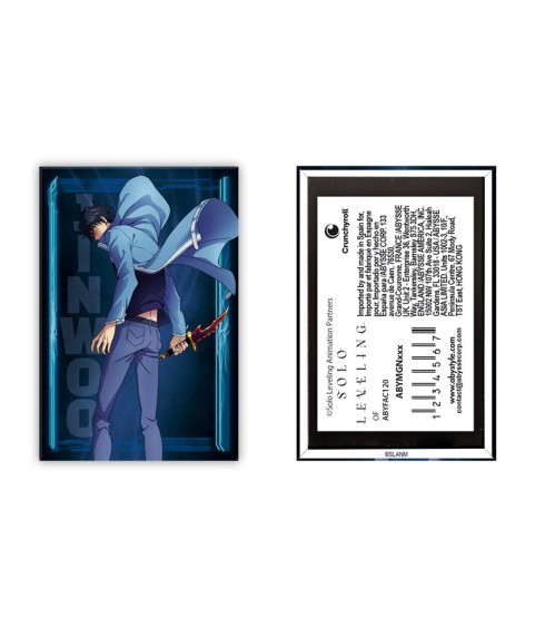 Aimant - Solo Leveling - Jin-Woo Sung