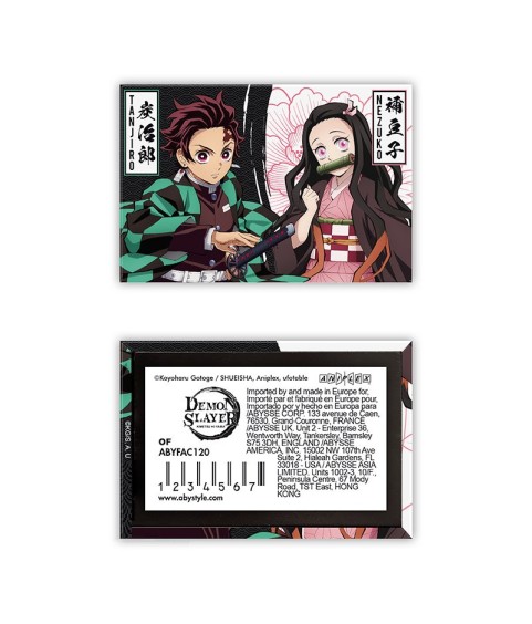 Magnet - Demon Slayer - Tanjiro & Nezuko