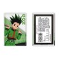 Aimant - Hunter X Hunter - Gon Freecss