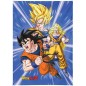 Rideaux - Dragon Ball - Son Goku