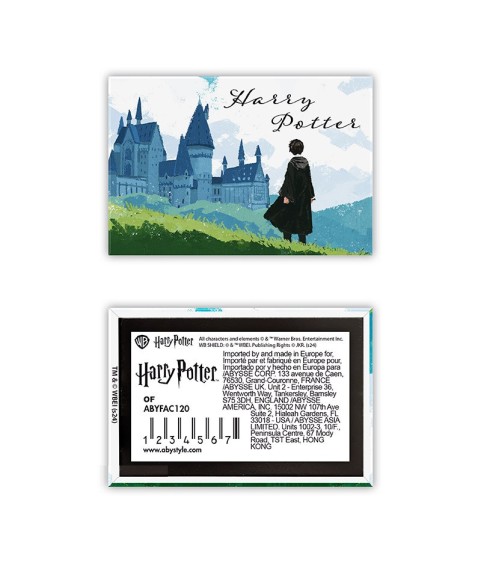 Magnet - Harry Potter - Harry & Hogwarts - Hogwarts