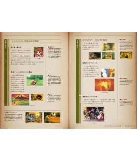 Art book - Zelda