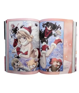 Art book - Type Moon - 10ème Anniversaire