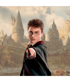 Wand - Characters collection - Harry Potter - Harry Potter