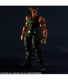 Action Figure - Street Fighter