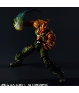 Action Figure - Street Fighter