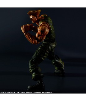 Action Figure - Street Fighter
