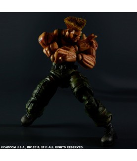 Action Figure - Street Fighter
