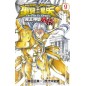 Manga - Saint Seiya