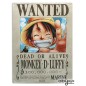 Plaque métallique - One Piece - Monkey D. Luffy
