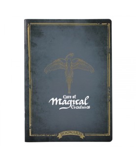 Carnet - Harry Potter