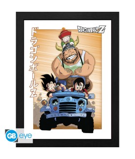 Frame - Dragon Ball -...