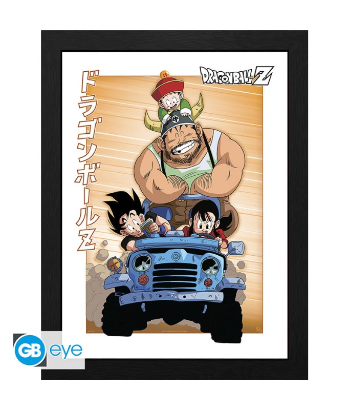 Frame - Dragon Ball - Family Travel