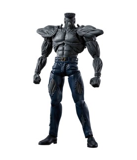 Gelenkfigur - S.H.Figuarts...