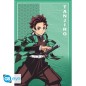 Poster - Rolled and shrink-wrapped - Demon Slayer - Tanjiro Kamado