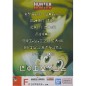 Poster - Ichibansho - Hunter X Hunter - Gon Freecss