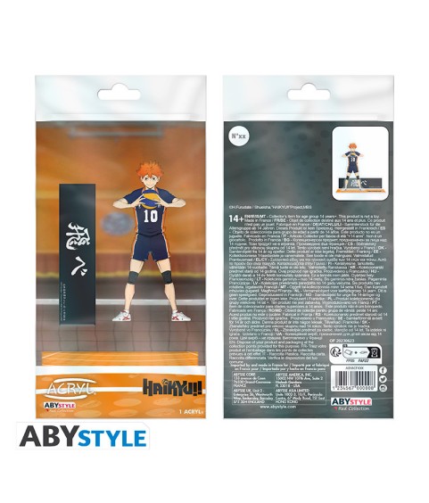 Figurine 2D - Acryl - Hinata - Haikyu