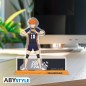 Figurine 2D - Acryl - Hinata - Haikyu