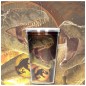 Glas - Tasse(n) - Jurassic World - T.Rex Dominion