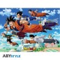 Poster - Roulé et filmé - Dragon Ball - Groupe Goku