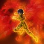Figurine articulée - Myth Cloth EX - Saint Seiya - Ikki du Lion