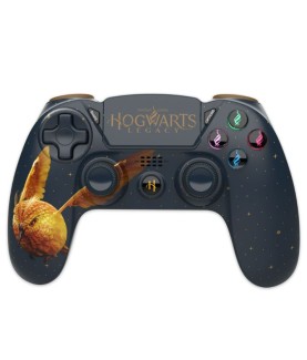 Wireless controller -...