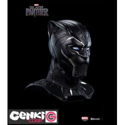 Speaker - Black Panther