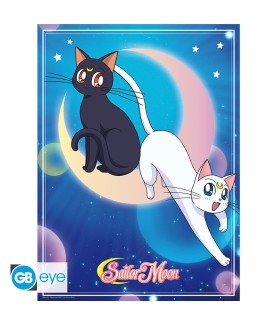 Poster - Flat - Sailor Moon...