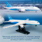 Bausatz - 11017 - XIAMENAIR·Dream Wings 787