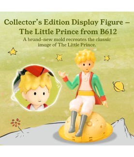 Construction kit - The Little Prince - Starry Garden
