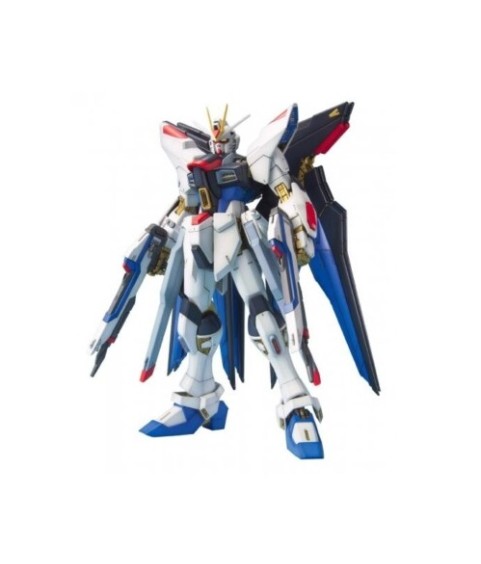 Model - Master Grade - Gundam - Strike Freedom