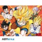 Poster - Emballage endommagé - Dragon Ball - Saiyans