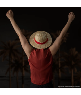 Chapeau - One Piece - Chapeau de Paille - U Unisexe 
