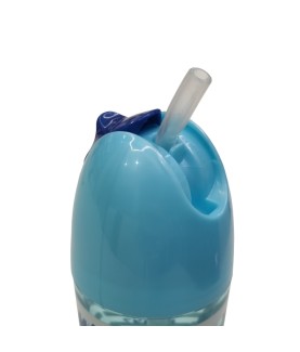 Gourde - Bluey - Bingo & Bluey