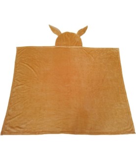 Blanket - Pokemon - Eevee
