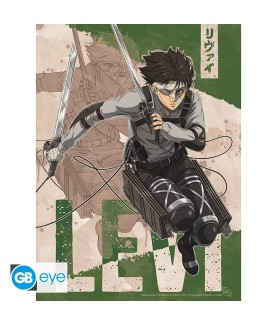 Poster - Flat - Attack on Titan - Persönlichkeiten