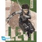 Poster - Flat - Attack on Titan - Persönlichkeiten