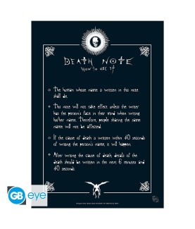 Poster - Flat - Death Note - Protagonisten