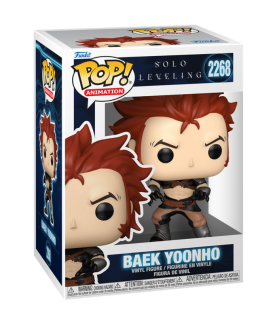 POP - POP Animation - Solo...