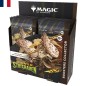 Cartes (JCC) - Booster Collector - Magic The Gathering - Booster Collector - Les Secrets de Strixhaven - FR
