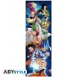 Poster - Roulé et filmé - Dragon Ball - Groupe