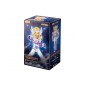 Modell - Figures Champion Series - Saint Seiya - Cygnus Hyoga