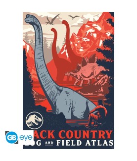 Poster - Gerollt und mit...