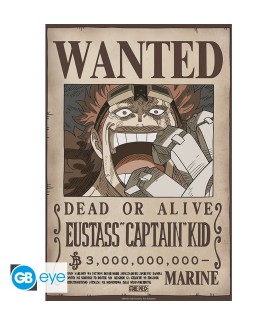 Poster - À plat - One Piece...
