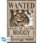 Poster - Flat - One Piece - Baggy