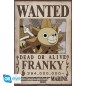 Poster - Flat - One Piece - Franky