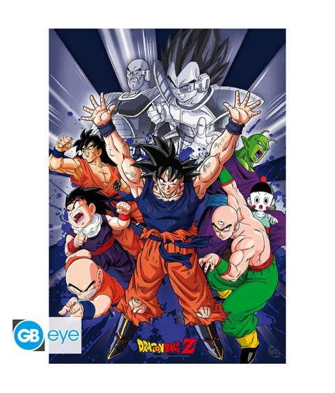 Poster - À plat - Dragon Ball - Groupe