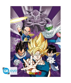Poster - À plat - Dragon Ball - Groupe