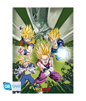 Poster - À plat - Dragon Ball - Groupe